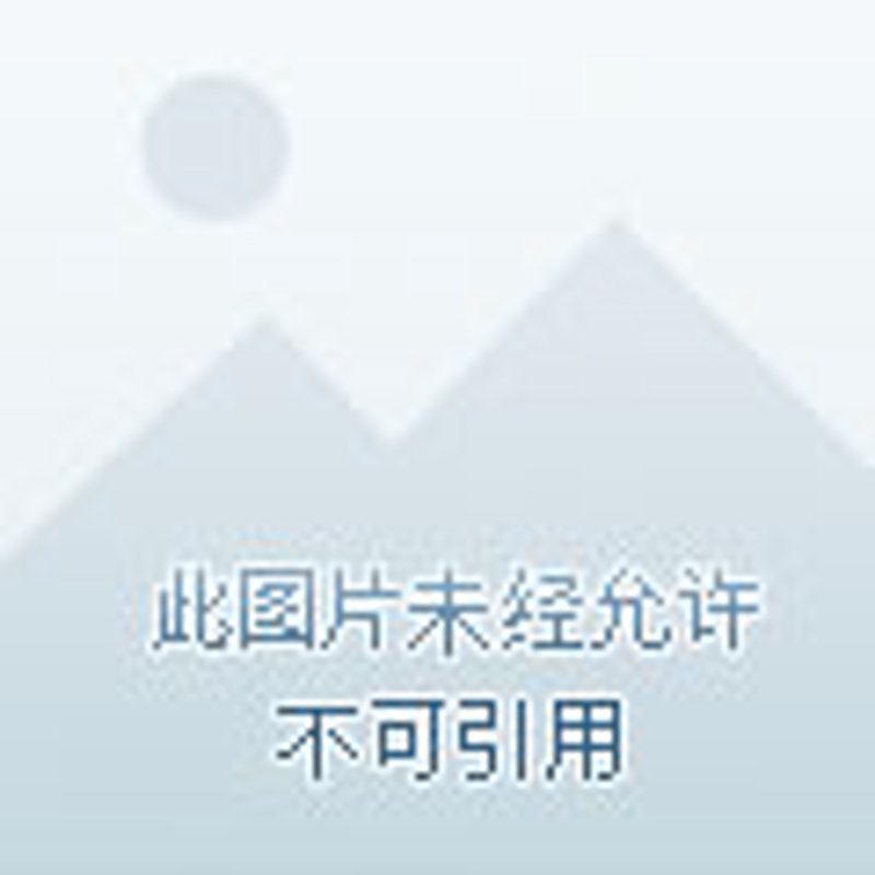 嘉峪关搬家价格动态解析：搬新家还是租新居？